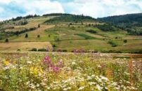 пештера-ливада