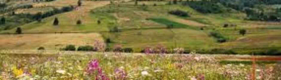 пештера-ливада